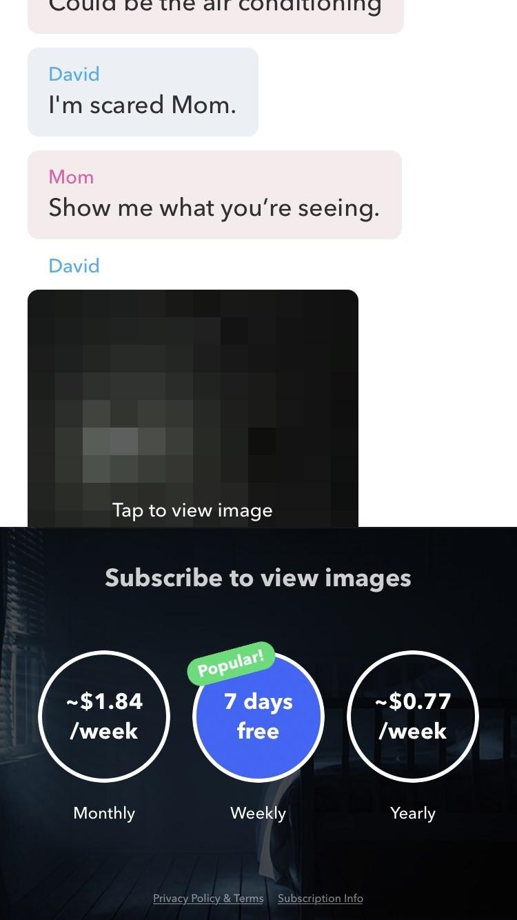 The story as a text thread, with the subscribe-to-view-images paywall