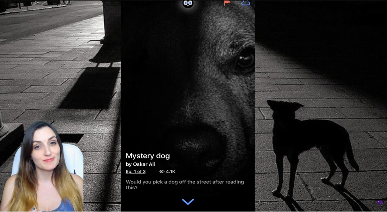 LaurenZside reading Mystery Dog on YouTube: 3.6M views, 49K likes
